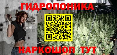 каннабис Сланцы