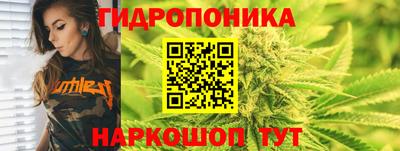 гидропоника Славгород