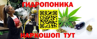 гидропоника Славгород