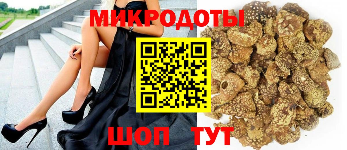 Галлюциногенные грибы Magic Shrooms  Вход с VPN  Галлюциногенные грибы мицелий  Новозыбков 